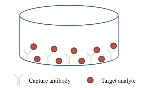 Identify-any-abnormal-binding-that-should-not-exist-in-sandwich-ELISA-from-the-above-picture-and-sug