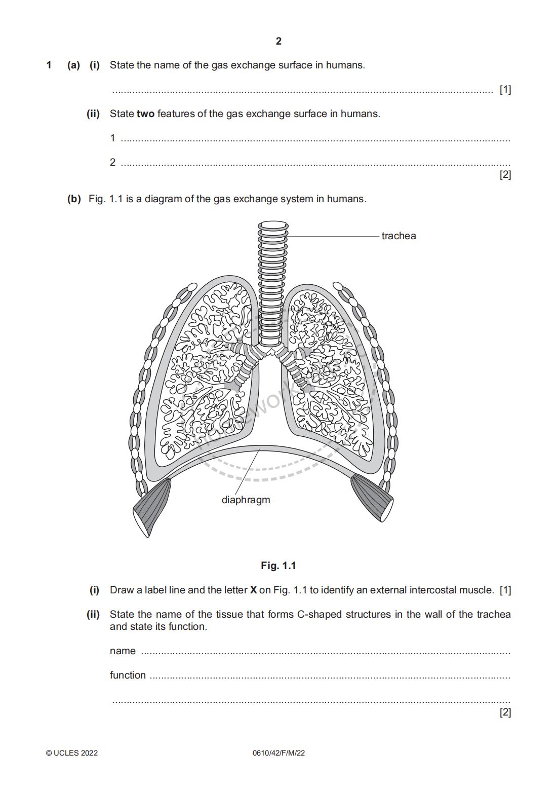 Question-1 State the name of the gas exchange surface in human